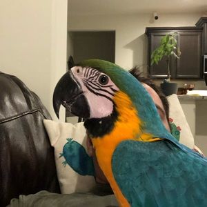 Meet your Posher, Matthew